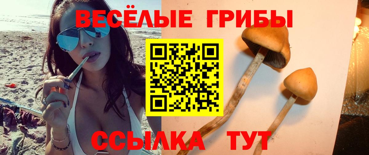 Троицк  Галлюциногенные грибы мицелий  Вход с VPN 